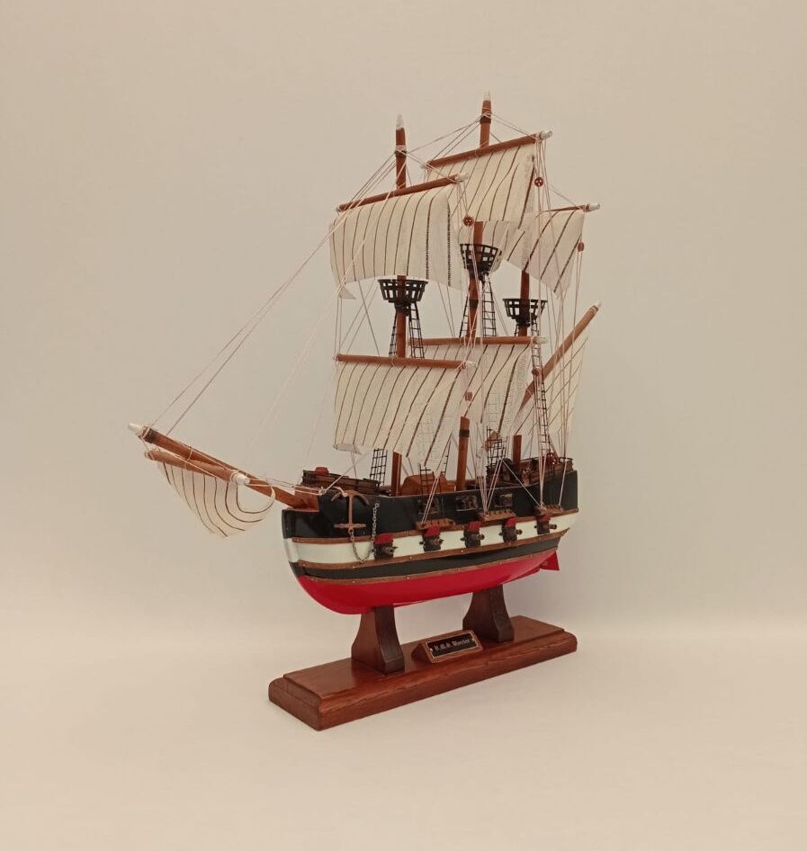 proa barco warrior